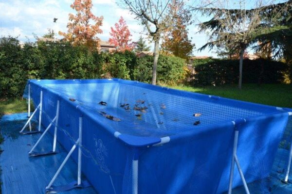 cobertor-piscina-leaf-pool-cover