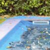 cubierta-antihojas-piscina-leaf-pool-cover